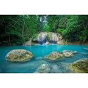 Waterfall Aquarium Background Jungle Forest Stream Fish Tank Background Lush Green Trees Huge Rocks Reptile Tank Backgrounds Natural Falls Rainforest Landscape Reptile Enclosure Backgrounds 48x20in