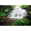 Waterfall Aquarium Background Rainforest Under Sunbeams Rainbows Terrarium Backgrounds Jungle Forest Stream Theme Fish Tank Backgrounds Falls Cascading Reptile Tank Enclosure Backgrounds 72x24in