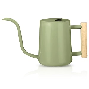 Watering Can for Indoor Plants 35oz Small