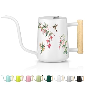 Watering Can Indoor Plants 35oz Small Stainless