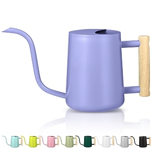 Watering Can Indoor Plants 35oz Small Stainless