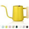 Watering Can Indoor Plants 35oz Small Stainless