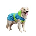 Waterproof Dog Raincoat with Hood | Double Coloured Blue-Green | Adjustable Velcro | Extra Coverage | Easy to Carry Pouch | for Small, Medium and Large Breed Dogs (Puppy (M))