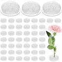 Waydress 48 Pcs 2.8 in Plastic Flower Frogs for Arrangements, Clear