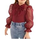 WDIRARA Girl's Bow Front Cute Long Sleeve Blouse Mock Neck Shirt Ruffle Mesh Casual Top Tee