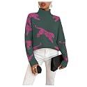 WDIRARA Women39s Leopard Tiger Print Sweater High