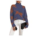 WDIRARA Women39s Leopard Tiger Print Sweater High