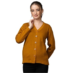 Wear lusso Women Woolen V Neck Casual