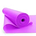 Wearslim® Professional Resistance Loop Bands | Elastic Exercise Band Set for Women | Best Resistant Workout Loops for Booty, Glute, Leg &amp; Thigh Exercising Set of 3 (1.5 Meter Each)