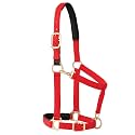 Weaver Equine Breakaway Horse Halter, Comfort Foam Padding, Adjustable Chin &amp; Throat Snap Halters for Horses, Equine Tack,Average Size