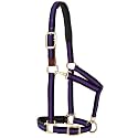 Weaver Equine Breakaway Horse Halter, Comfort Foam Padding, Adjustable Chin & Throat Snap Halters for Horses, Equine Tack,Average Size