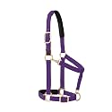 Weaver Equine Breakaway Horse Halter, Comfort Foam Padding, Adjustable Chin &amp; Throat Snap Halters for Horses, Equine Tack,Average Size
