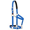 Weaver Equine Breakaway Horse Halter, Comfort Foam Padding, Adjustable Chin & Throat Snap Halters for Horses, Equine Tack,Average Size
