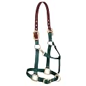 Weaver Equine Breakaway Horse Halter, Supple Leather Crown, Adjustable Brass Throat Snap Halters for Horses, Equine Tack