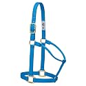 Weaver Equine Breakaway Horse Halter, Supple Leather Crown, Adjustable Brass Throat Snap Halters for Horses, Equine Tack