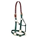 Weaver Equine Breakaway Horse Halter, Supple Leather Crown, Adjustable Brass Throat Snap Halters for Horses, Equine Tack