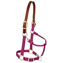 Weaver Equine Breakaway Horse Halter, Supple Leather Crown, Adjustable Brass Throat Snap Halters for Horses, Equine Tack
