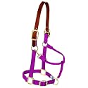 Weaver Equine Breakaway Horse Halter, Supple Leather Crown, Adjustable Brass Throat Snap Halters for Horses, Equine Tack