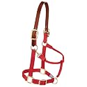 Weaver Equine Breakaway Horse Halter, Supple Leather Crown, Adjustable Brass Throat Snap Halters for Horses, Equine Tack