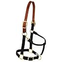 Weaver Equine Breakaway Horse Halter, Supple Leather Crown, Adjustable Brass Throat Snap Halters for Horses, Equine Tack
