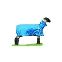 Weaver Leather Livestock ProCool Mesh Sheep Blanket with Reflective Piping, Blue, Large