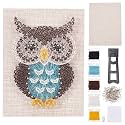 WEBEEDY Owl String Art Kit DIY Craft Kits for Adults Holiday Decor Gifts