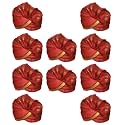 Wedding Turban Dulha Collection Traditional Pagri//Pagdi for Barati/Swagat/Welcome Magenta Pagdi for Men & Women - Unisex(Pack of 10)