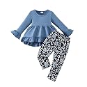 Weebaby Baby Girl Clothes Infant Toddler Girl Clothing Ruffle Shirt High Low Top Floral Allover Pant Little Girls Clothes