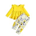 Weebaby Baby Girl Clothes Infant Toddler Girl Clothing Ruffle Shirt High Low Top Floral Allover Pant Little Girls Clothes