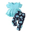 Weebaby Baby Girl Clothes Infant Toddler Girl Clothing Ruffle Shirt High Low Top Floral Allover Pant Little Girls Clothes
