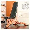 Weight Bench for Home Gym, Workout Bench Made Thick Steel Pipe 300kg/660LBS Weight Capacity Adjustable Back/Seat Incline
