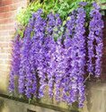 well art gallery Artificial Fake wisteria flower for home wedding decoration (4 pcs) Purple Westeria Artificial Flower