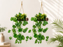 well art gallery Artificial Plant