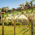 well art gallery Artificial Wisteria Vine Ratta for Wedding Party Home Decor (Yellow) Pack of 12 Beige Westeria Artificial Flower