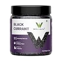 WELLAYA Premium Dried Black Currant - 300gm | Healthy & Tasty Whole Black Current | Rich In Vitamin K, High in Nutrients & Antioxidants | Delicious & Healthy Snack | Gluten-Free Snacking