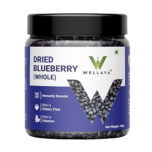wellaya premium dried blueberries 400g  whole dry fruit  rich in antioxidants calcium amp vitamin k  healthy vegan snack