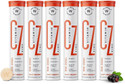 Wellbeing Nutrition Vitamin C + Zinc|Natural and Organic Immunity Booster|100% RDA|1000mg Vitamin C