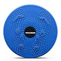 WELLBERG Body-Sculpting Ab Rotating Waist Twisting Disc with 8 Magnets Aerobic Exercise Fitness Equipment, Body Sculpting Waist Abdominal Muscle Exercise Balance Board (Multi Color)