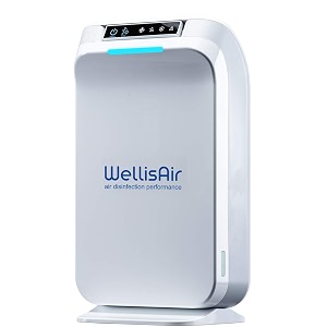 purifier for home large room filterless surface disinfection from virus bacteria fungi germs allergies pets dander pollen smoke dust mold odors white
