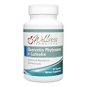 Wellness Resources Quercetin Phytosome 250 mg with Luteolin 100 mg, Mast Cell Stabilizer & Natural Histamine Support for Seasonal Allergies, NAD Support and Neuroprotective Supplement (60 Capsules)