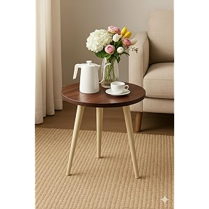 shoppee side table modern home decor coffee tea end table for living room bedroom and balcony with latest round design brown