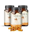 Wellwith (Ayuzera) Sea Buckthorn Berry Oil Vegan Omega 7 500mg, 90 Veg HPMC Capsules (Pack of 3), 45-Day Supply| Sea buckthorn capsules rich In Omega 3, 6, 7 &amp; 9 For Muscle, Bone, Heart &amp; Skin