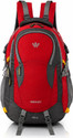 WESLEY internal organiser Rucksack College bag 45 L Laptop Backpack