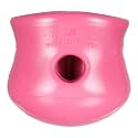 WEST PAW Zogoflex Toppl Interactive Treat Dispensing Puzzle Dog Toy for Mental Stimulation &amp; Enrichment-Holds Kibble &amp; Treats-Lickable, Freezable &amp; Dishwasher Safe-Made in USA-Large-Geranium