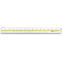 Westcott Acrylic Data Highlight Reading Ruler with Tinted Guide, 15-inch Clear