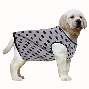 western era funky soft cotton dog t-shirt comfortable dog clothing sleeveless vest puppy outfit apparel polka grey small 14 inches