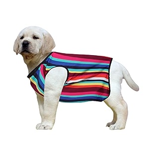 western era funky soft cotton dog t-shirt  comfortable amp breathable dog clothing  sleeveless vest puppy outfit color strips xxlarge 28inches