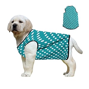western era funky soft cotton dog t-shirt  comfortable amp breathable dog clothing  sleeveless vest puppy outfit polka sky blue medium - 16inches