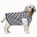 Western Era Funky Soft Cotton Dog T-Shirt, Comfortable Dog Clothing, Sleeveless Vest Puppy Outfit, Apparel (Polka Grey) (Small) (14 inches)