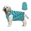 Western Era Funky Soft Cotton Dog T-Shirt | Comfortable &amp; Breathable Dog Clothing | Sleeveless Vest Puppy Outfit |(Polka Sky Blue) (XSmall - 12inches)